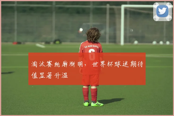 淘汰赛轮廓渐明，世界杯球迷期待值显著升温