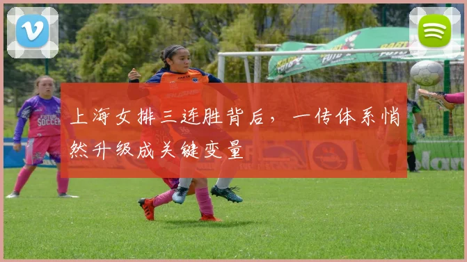 上海女排三连胜背后，一传体系悄然升级成关键变量